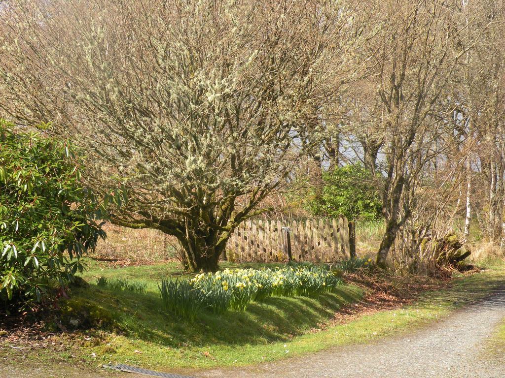 Mchugh And Loudon Cottages Saint Catherines Eksteriør bilde